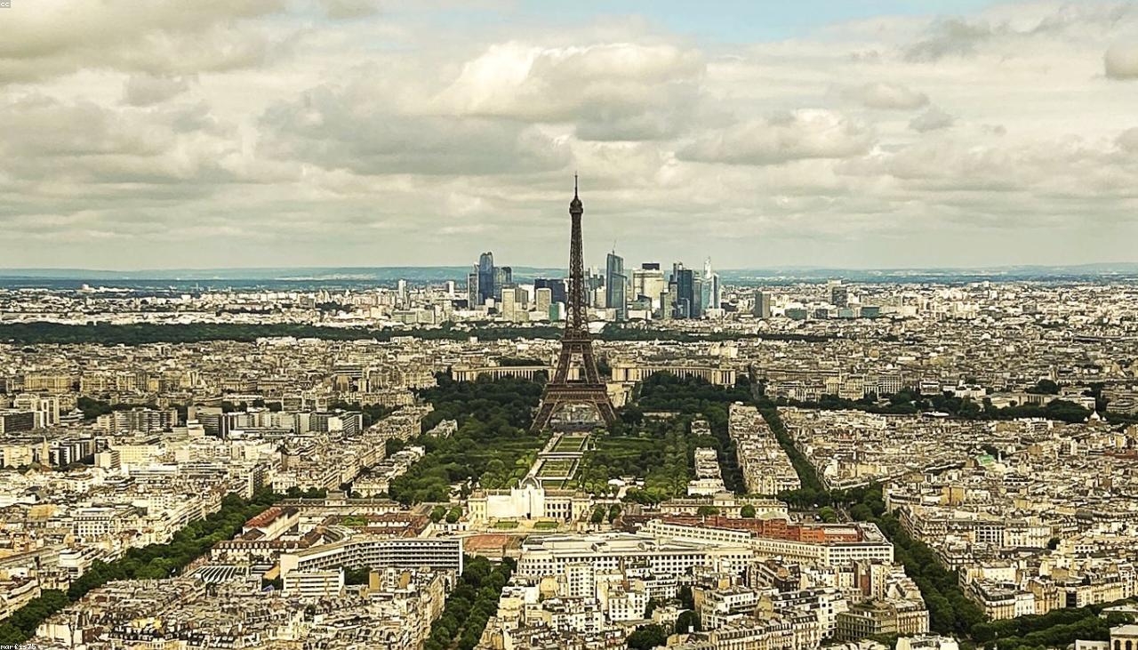 Publicité en ligne : Search & social au ROI