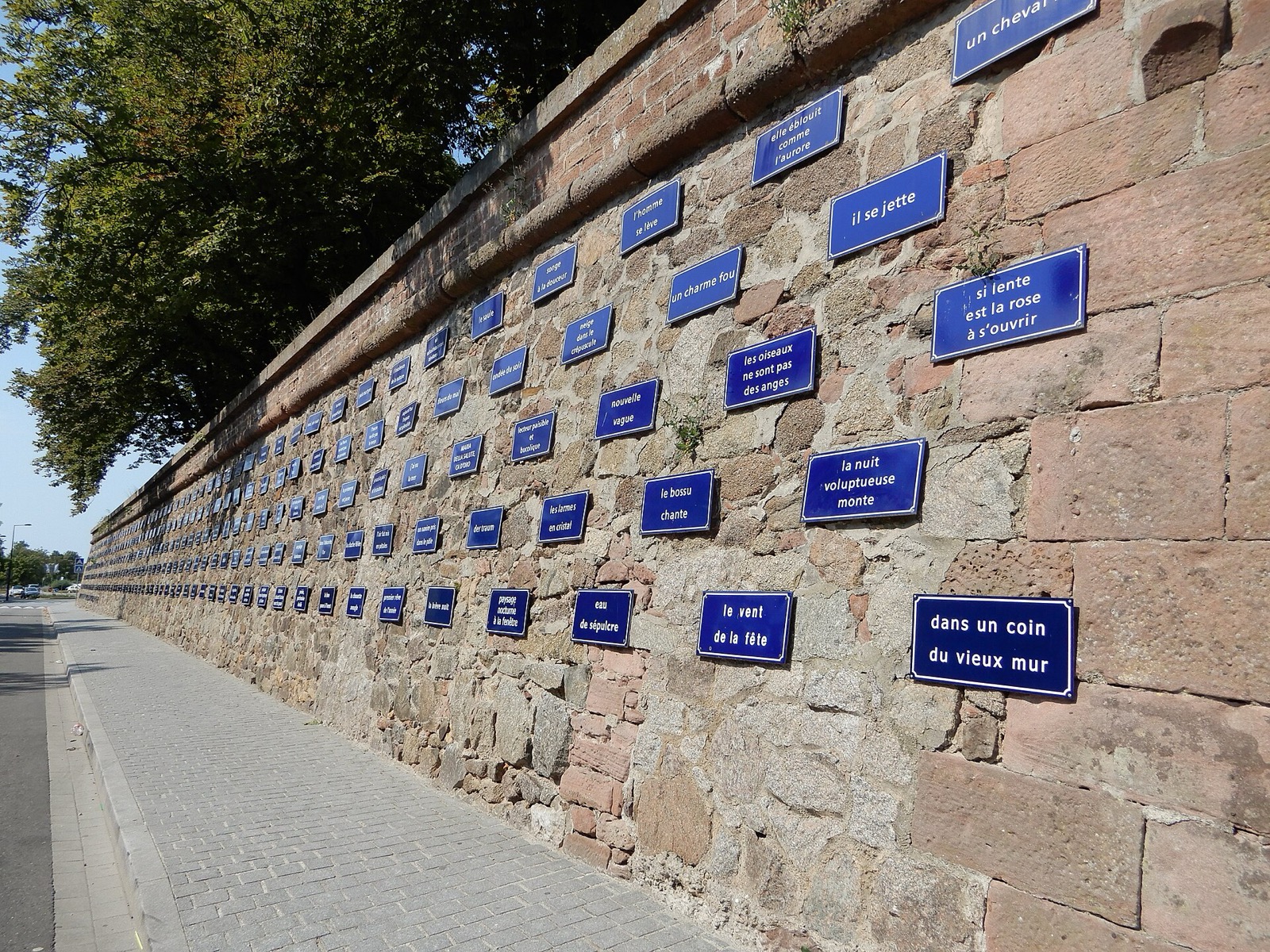 Agence digitale à Sélestat