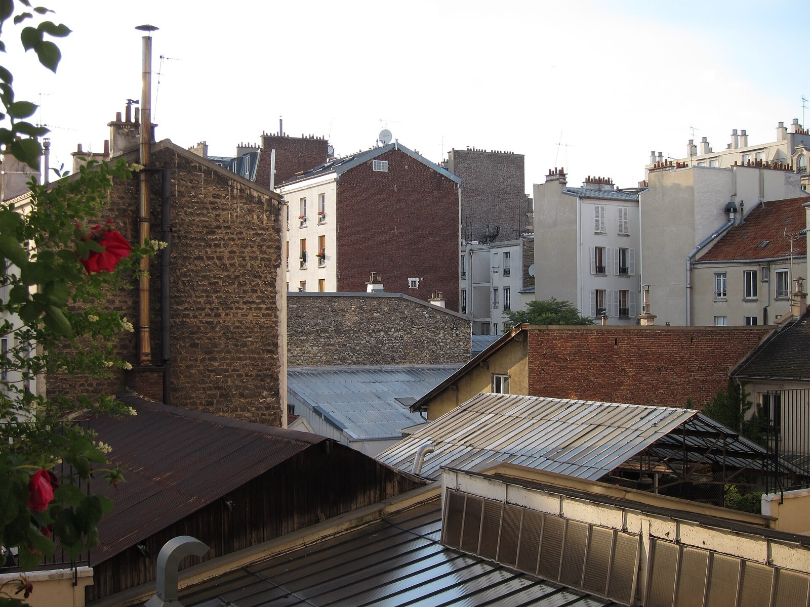 Toits de Paris, un tissu B2B dense en Île-de-France